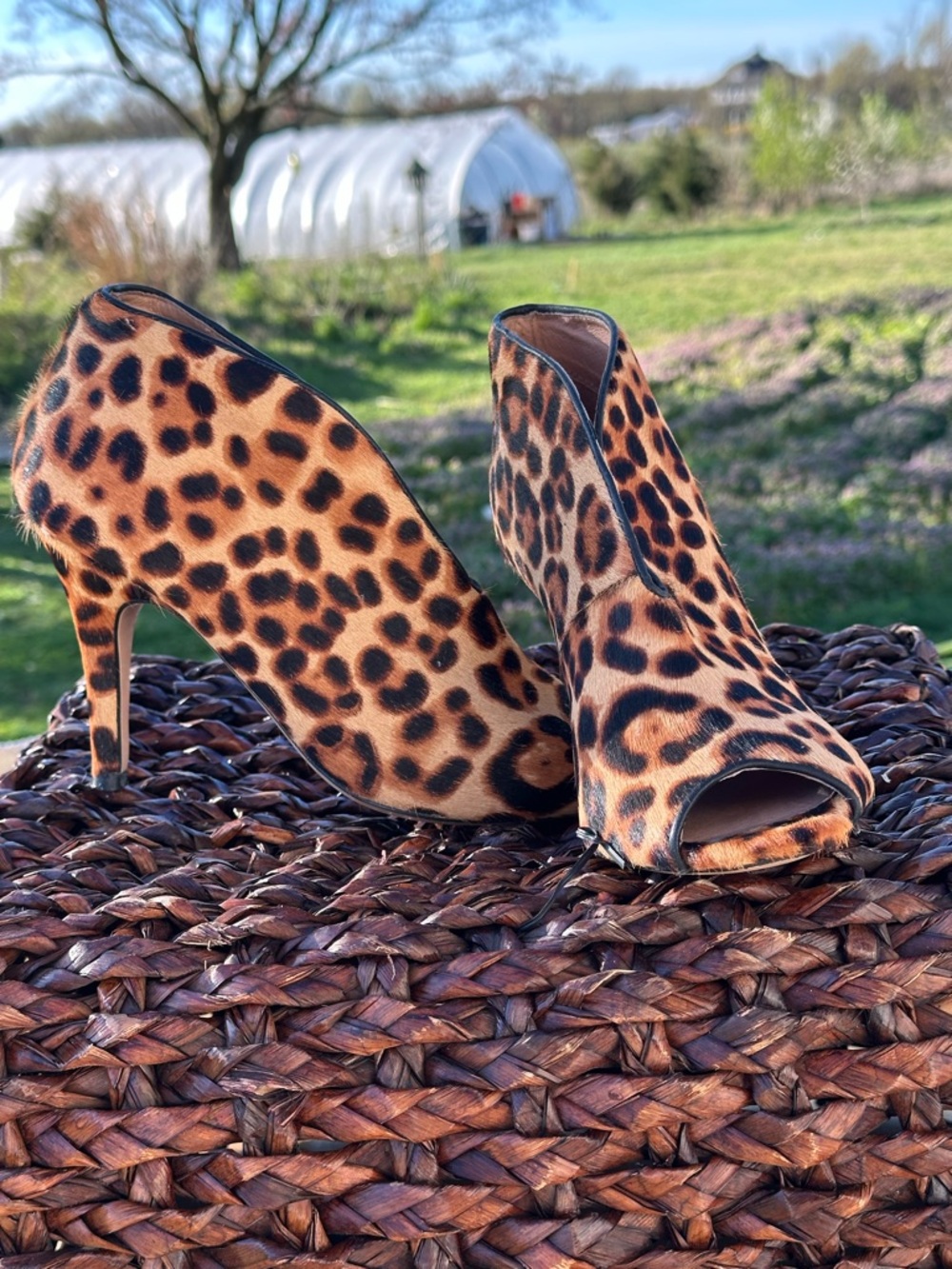 Leopard Print Peep-Toe Stiletto Booties - Tan/Black
